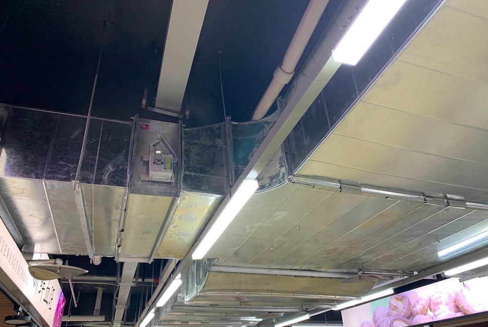 麻豆视频免费在线